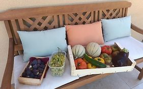 GITE AUX 4 SAISONS DU COLORADO PROVENÇAL - 3 ÉTOILES - Rustrel